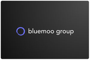 bluemoogroup.com